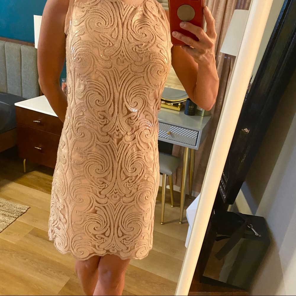 Vince Camuto Blush Lace Dress - Picture 7 of 13
